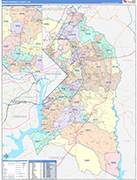 Prince George's County Wall Map Color Cast Style